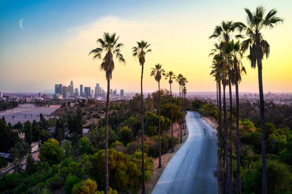 Sunset view of tall palm trees and shorter trees lining empty street with Los Angeles skyline and crescent moon in background.